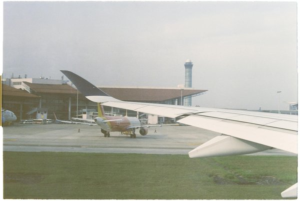 Quelles sont les meilleures pratiques pour camper en région de forêt mixte en été?