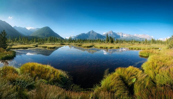 Quels sont les meilleurs itinéraires pour une randonnée dans les montagnes de la Sierra de Grazalema, Espagne?