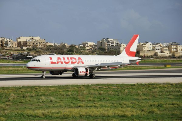 Quels sont les meilleurs spots pour observer les baleines bleues en Antarctique?