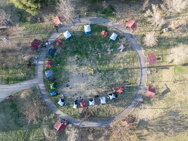 Quels sont les meilleurs spots pour observer les oiseaux exotiques en Amazonie péruvienne : périodes et équipements ?