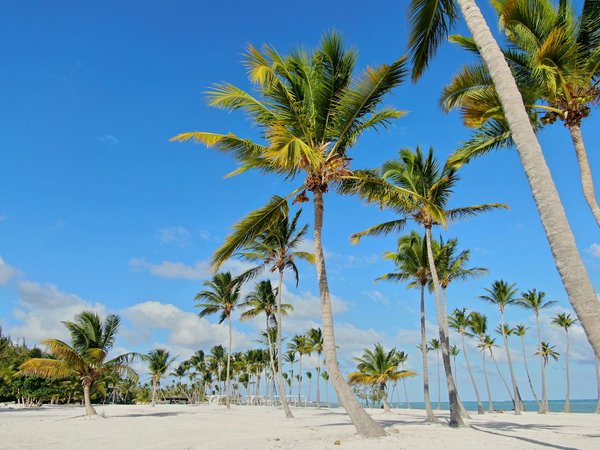 Comment participer à une retraite de yoga et méditation en Inde : lieux et pratiques recommandées ?